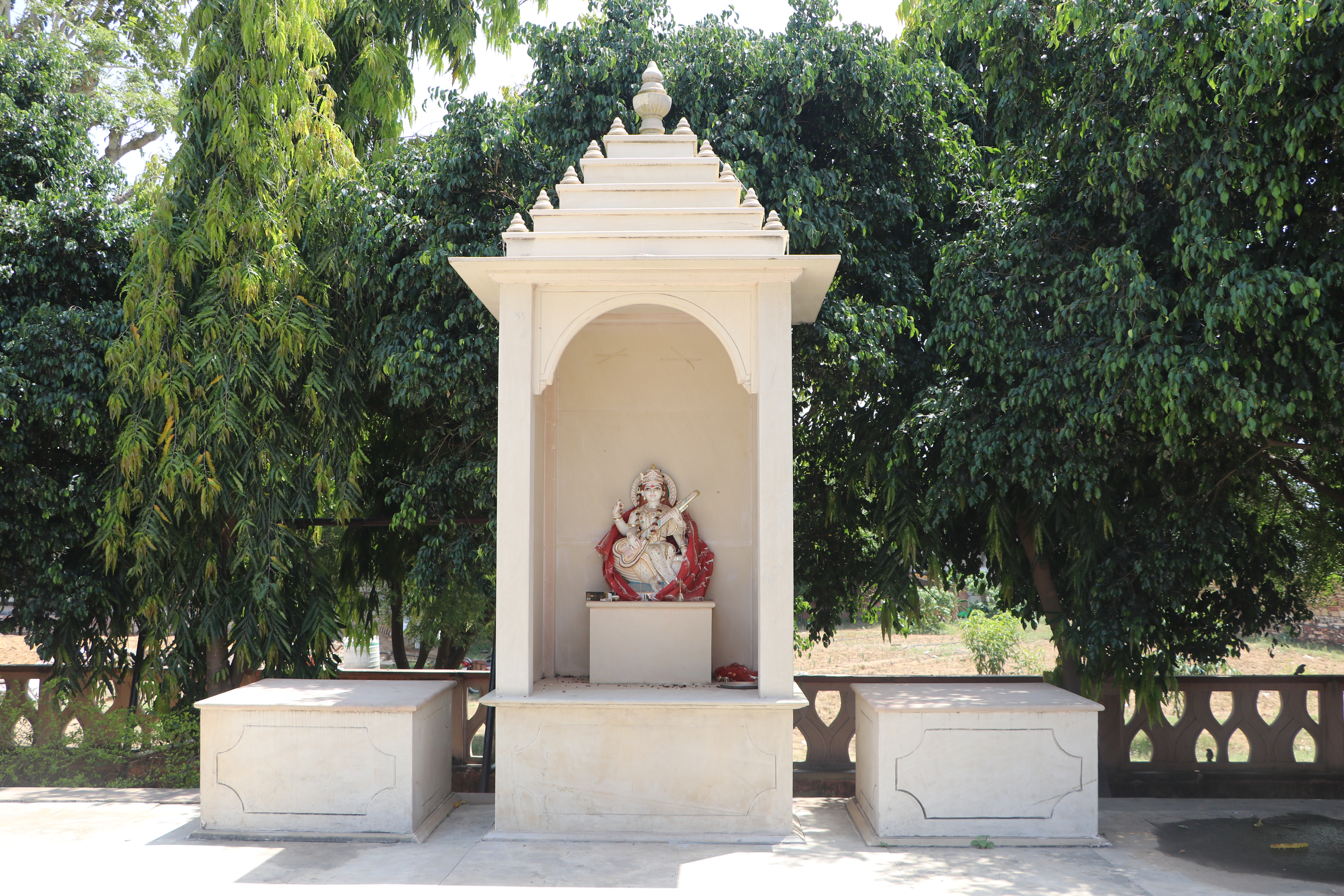 School library with students